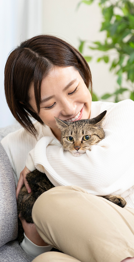 メインビジュアル