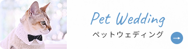 バナー